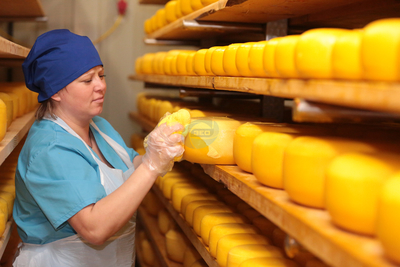 Бизнес план производства сыра