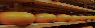 Производство сыра. Этап получения сырного зерна
